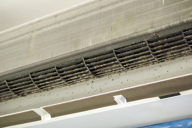 Best Local Air Duct Cleaning Services  in Totowa, NJ